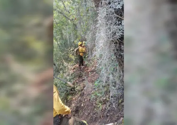 Trabajan brigadistas en control y liquidación de incendio en sierra de Iturbide