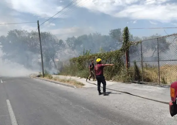 Incendio en predio baldío de Escobedo es sofocado por brigadistas