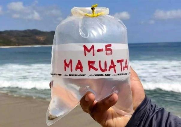 ¡Aguas! Advierte Cofepris de las 14 playas con más bacterias fecales