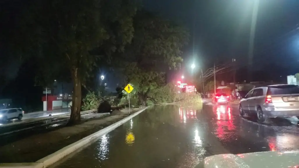 Granizada provoca caída de árboles y espectaculares en Hermosillo