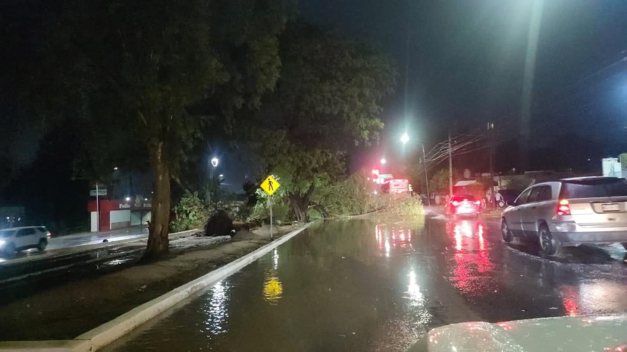 Las precipitaciones estuvieron acompañadas de granizo y rachas de viento moderadas a intensas, lo que provocó la caída de varios árboles y anuncios espectaculares. Foto: Especial.