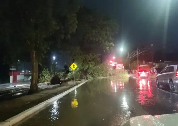 Granizada provoca caída de árboles y espectaculares en Hermosillo