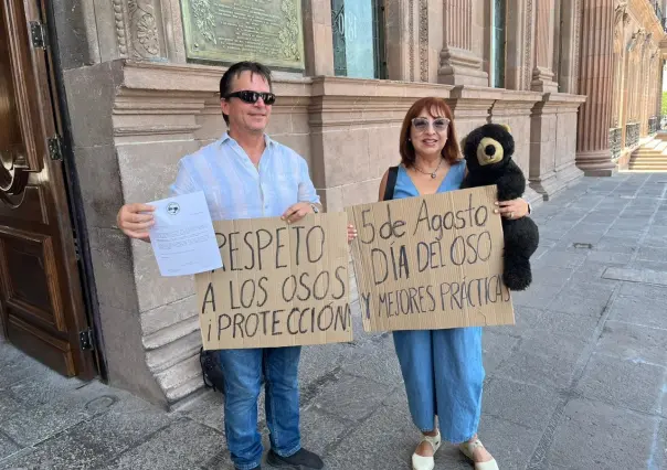 Piden activistas darle atención a la desaparición y muerte de oso negro