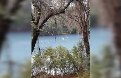 Se caen 3 menores de una tirolesa en Hidalgo