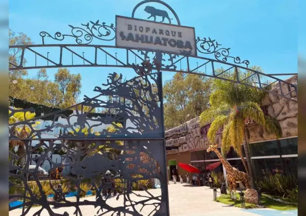 Formalizan queja por supuestos actos de corrupción en el Zoológico Sahuatoba