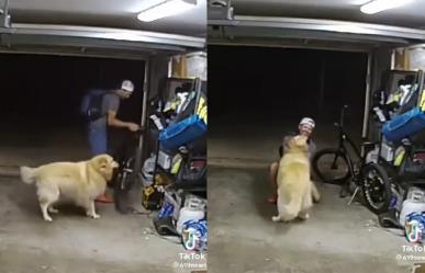 Lomito recibe a ladrón con amor, se lleva una bicicleta