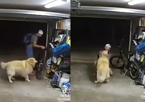 Lomito recibe a ladrón con amor, se lleva una bicicleta