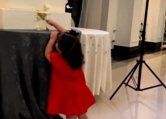 ¡Tragaldabas! Se come niña pastel de bodas y arruina fiesta