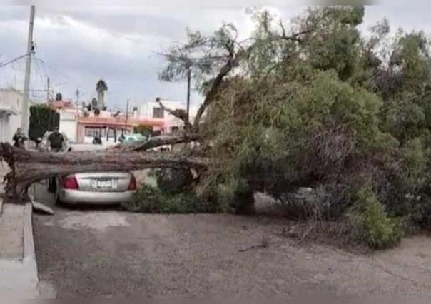 Fuertes vientos dejaron diversas afectaciones en la ciudad de Durango