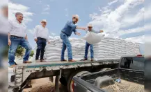 Se entrega semilla de frijol a campesinos