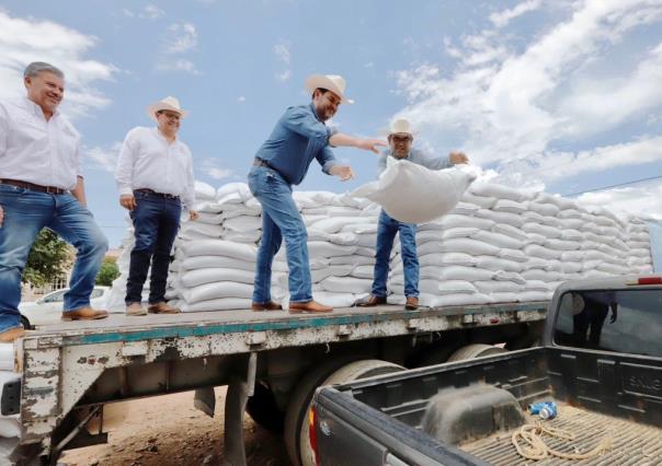Se entrega semilla de frijol a campesinos