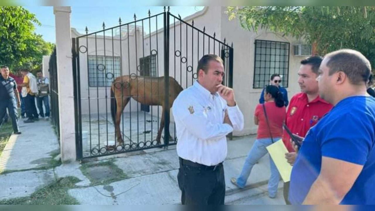 Se exhortó a la ciudadanía a seguir denunciando casos de maltrato animal para poder tomar cartas en el asunto. Foto: Facebook Ayuntamiento de Gómez Palacio.