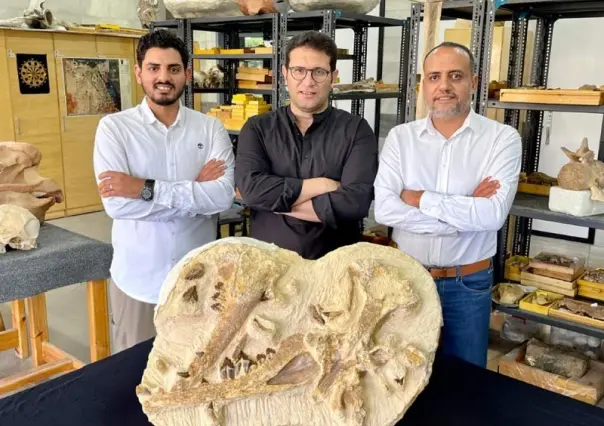 Descubren restos de ballena de hace 41 millones de años