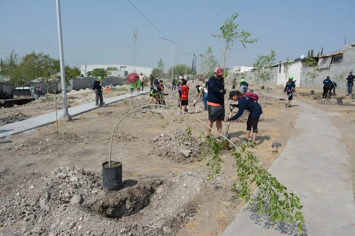 Realiza Gobierno de Apodaca brigada de reforestación en parque lineal