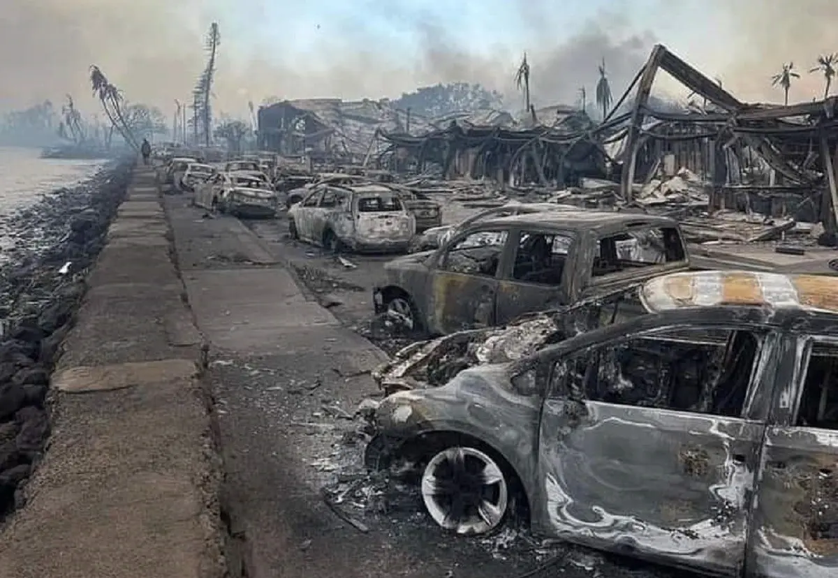 Este incendio forestal se ha convertido en el desastre natural más mortífero en décadas en Hawái. Foto: Twitter @0ShineDiamond0