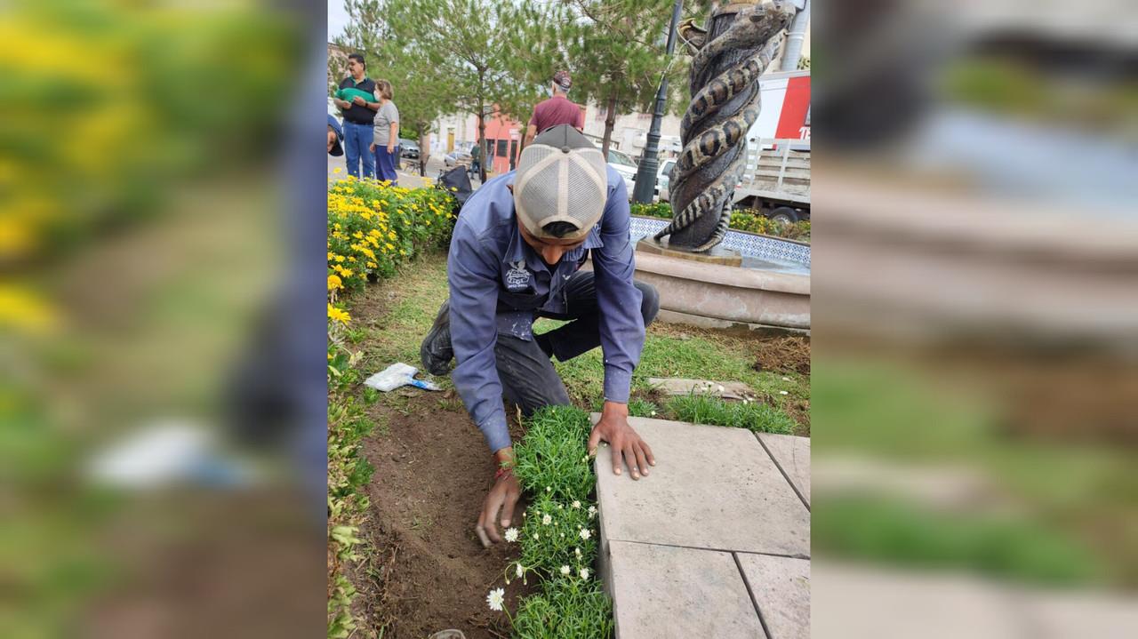Espacios más verdes, limpios y chulos: Toño Ochoa