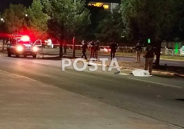 Conductor ebrio arrolla y mata a un peatón y acaba volcado