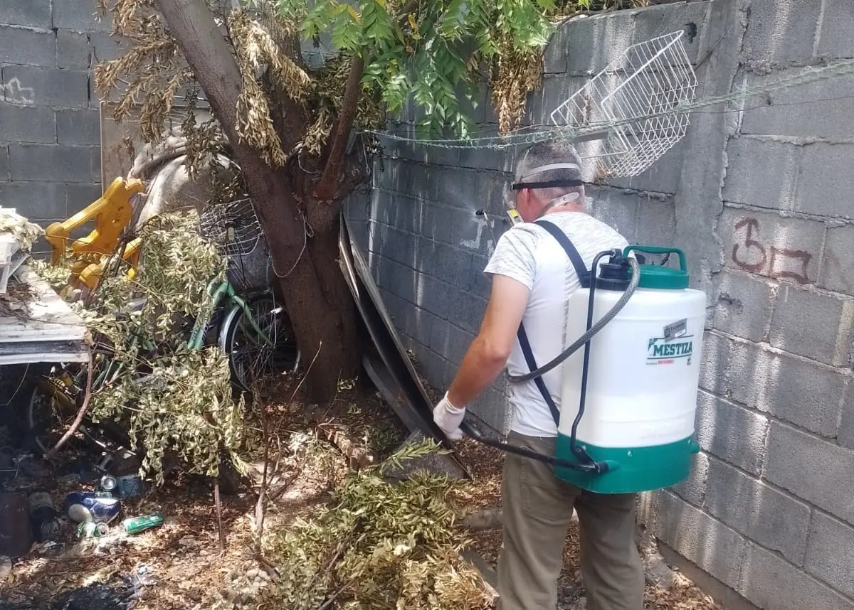 Gobierno de Escobedo combate de plagas y prevención de Rickettsia