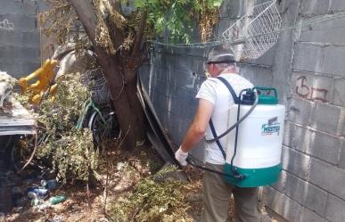 Gobierno de Escobedo combate de plagas y prevención de Rickettsia