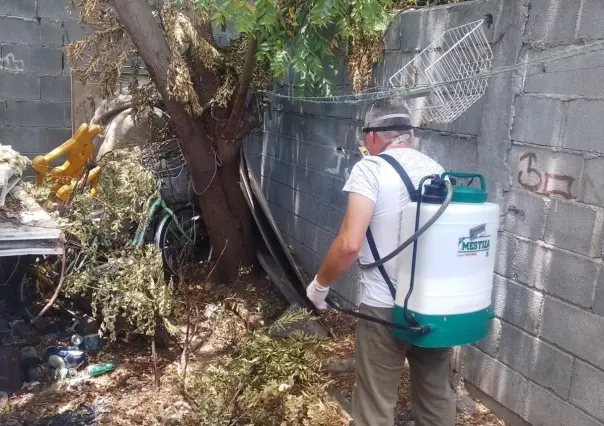 Gobierno de Escobedo combate de plagas y prevención de Rickettsia