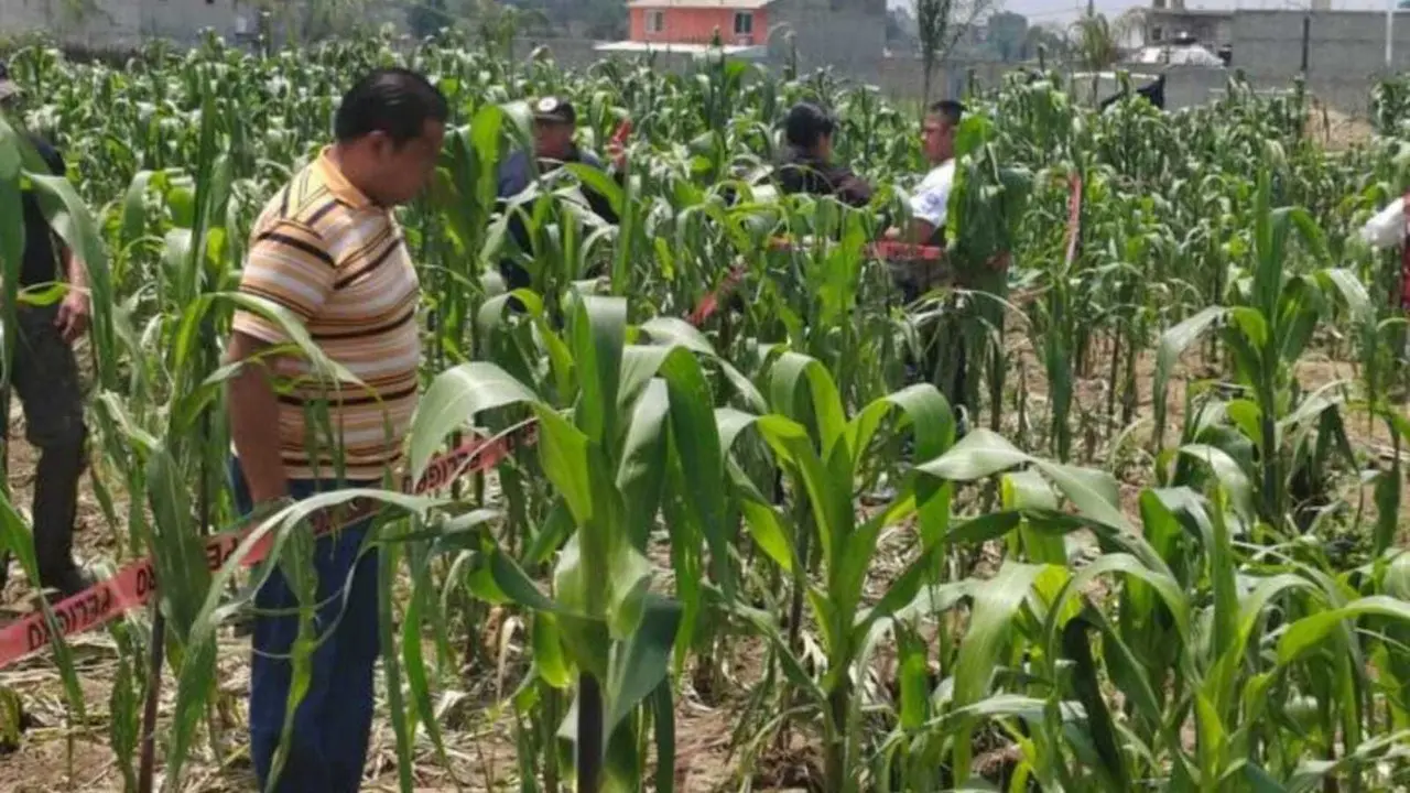 Autoridades de Protección Civil de Cocotitlán analizan la zona donde se abrió  la tierra, es una zona de cultivo que tiene una grieta de unos 50 metros para saber el origen. Foto: Cortesía