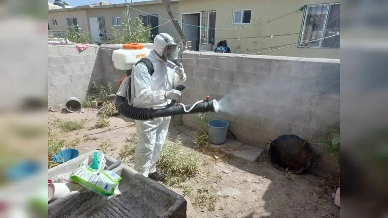 Se reportó la presencia de garrapatas en localidades aledañas al municipio de Gómez Palacio. Foto: Facebook/ @Ayuntamiento de Gómez Palacio.