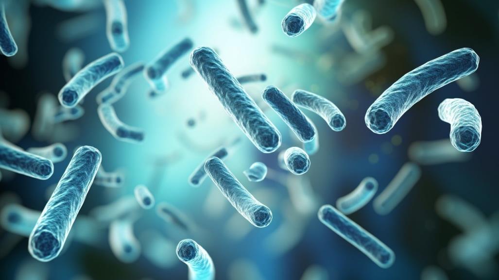 Mueren tres personas por rara bacteria en Estados Unidos