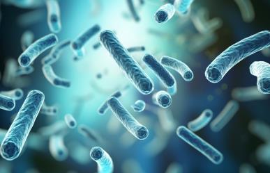 Mueren tres personas por rara bacteria en Estados Unidos