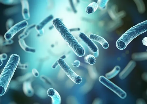 Mueren tres personas por rara bacteria en Estados Unidos