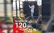 Fortalecen producción de mezcal en Durango con reforestación de agave
