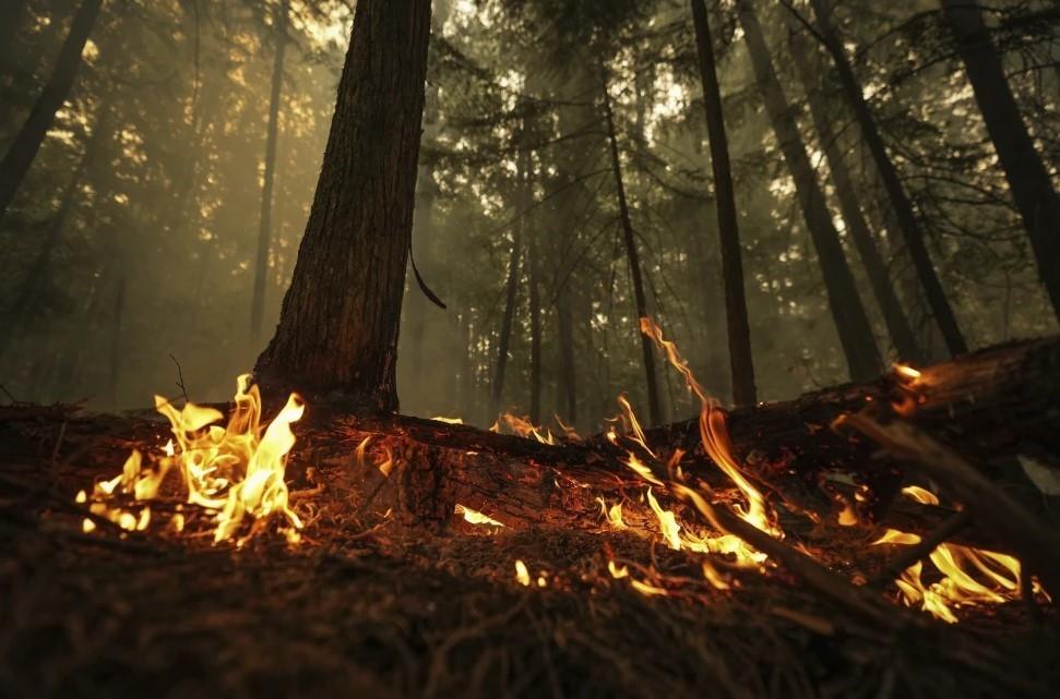 Los incendios forestales en Columbia Británica siguen siendo una amenaza para las hermosas ciudades turísticas de la región.  (Darryl Dyck/The Canadian Press vía AP)