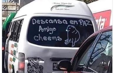 ¡Adiós Cheems! Despide chofer de combi al perrito viral de los memes