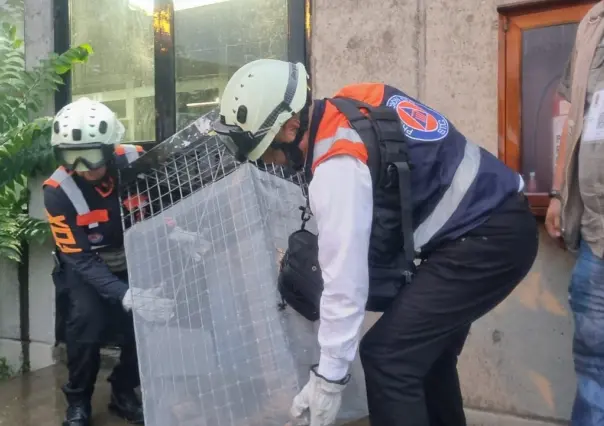 Rescatan a un zorro en instalaciones del metro Rosario