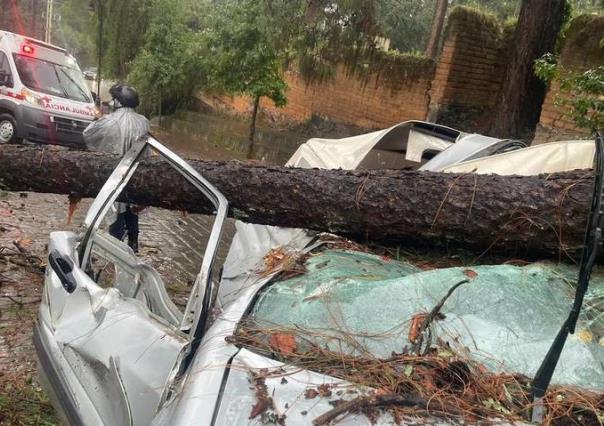 VIDEO: Libran la muerte, aplasta árbol auto y deja 3 heridos en Valle de Bravo