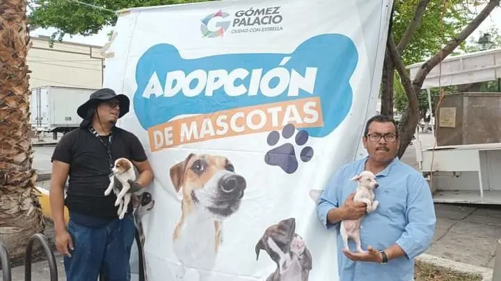 Además de adopciones se ofrecerán vacunas y desparasitaciones a mascotas, priorizando una vida digna para los animales. Foto: Facebook Ayuntamiento de Gómez Palacio.