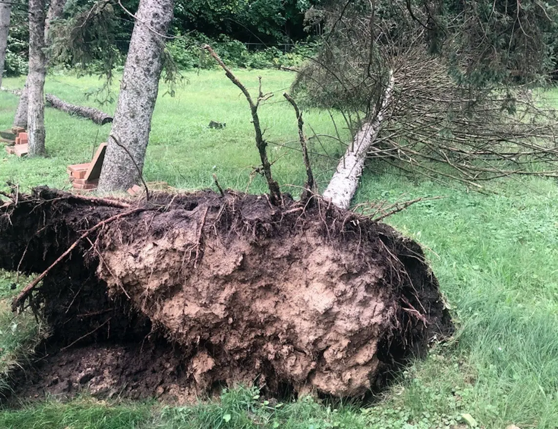 Fuertes tormentas con vientos de hasta 125 km/h derribaron árboles, arrancaron techos, mataron a cinco personas y provocaron apagones que afectaron a cientos de miles de usuarios, informaron las autoridades. (AP Foto/Corey R. Williams)