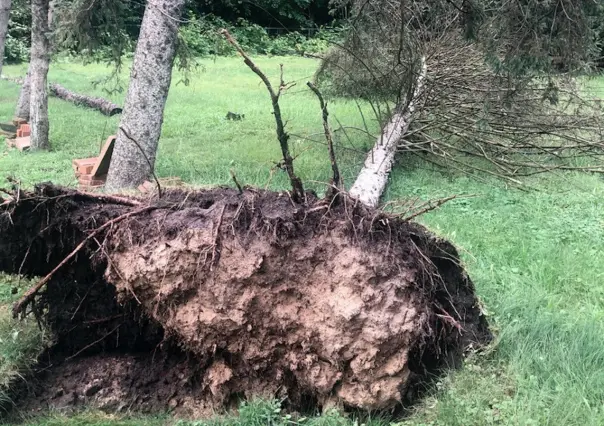 Siete tornados causan destrucción y muerte en Michigan