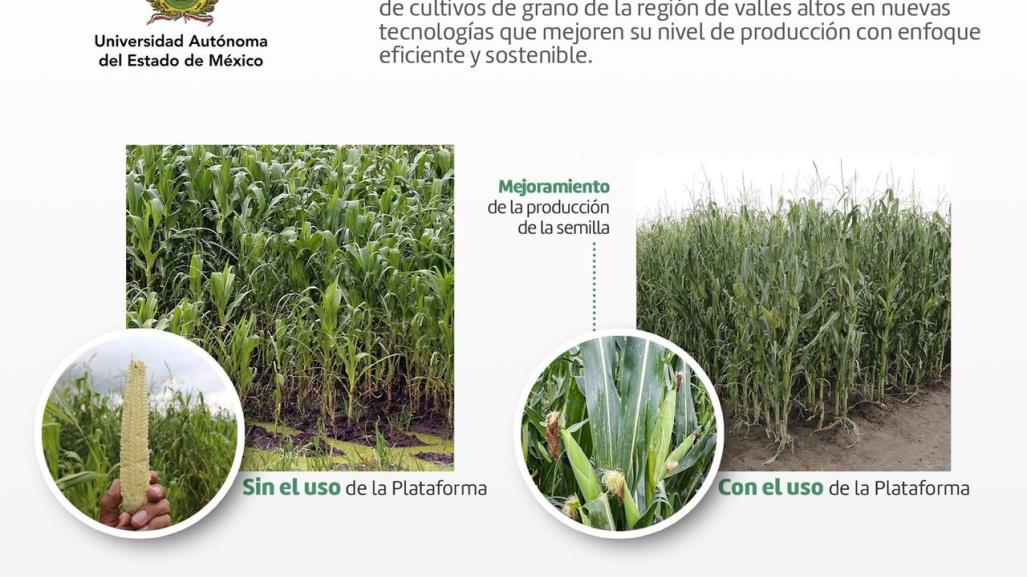 Capacita UAEMéx a productores de maíz para lograr mejores cultivos