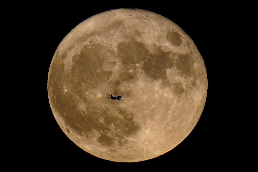 Un avión pasa frente a una superluna, el 13 de julio de 2022, en Milwaukee. (AP Foto/Morry Gash, Archivo)