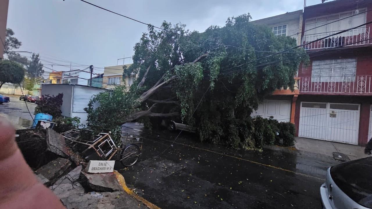 Cae árbol y arrasa con cables de luz y daña un vehículo en la GAM. Foto: Ramón Ramírez