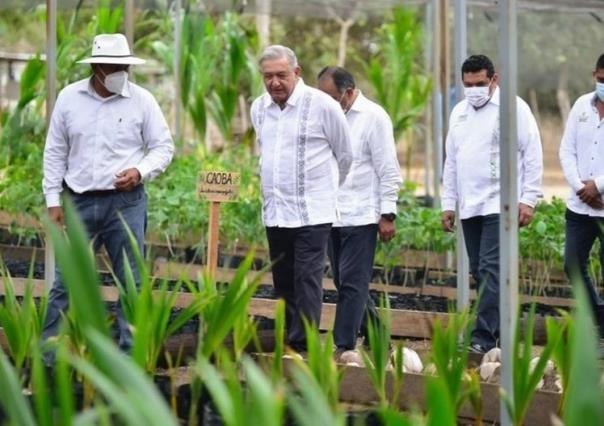 Resalta AMLO en su quinto informe distribución de programas sociales