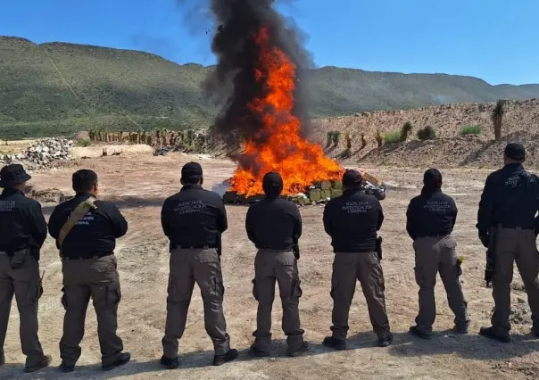 Incineran más de 400 kilos de droga en Coahuila