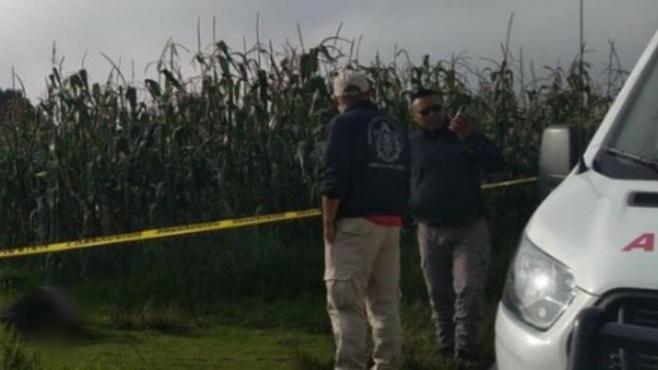 El cuerpo de un hombre, presuntamente, asesinado a golpes fue localizado en una milpa en El Tulillo en Almoloya de Juárez. Foto: Cortesía