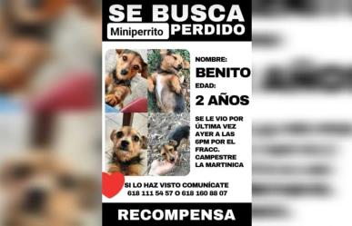 Benito está perdido y busca regresar con su familia