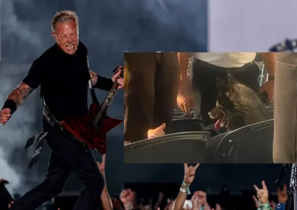 Perrita se escapa de casa y la encuentran… en concierto de Metallica