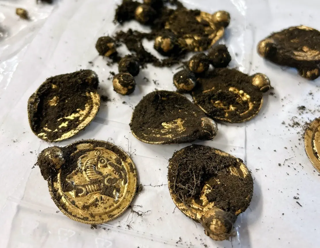 Varias joyas de oro de 1.500 años de antigüedad son exhibidas el 7 de septiembre de 2023, en Noruega, después de que un hombre con un detector de metales descubrió las piezas en la isla de Rennesoy. (Anniken Celine Berger/Museo Arqueológico, UiS vía NTB)