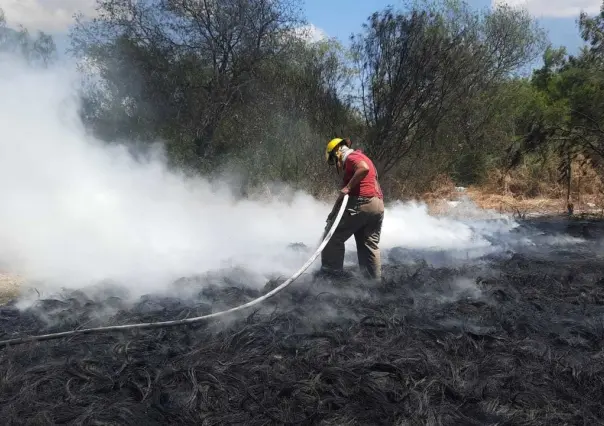 Se registra incendio en lote baldío de Juárez, Nuevo León