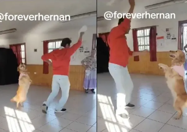 Hombre baila con perrito baile de cueca, típico de Chile y enternece TikTok