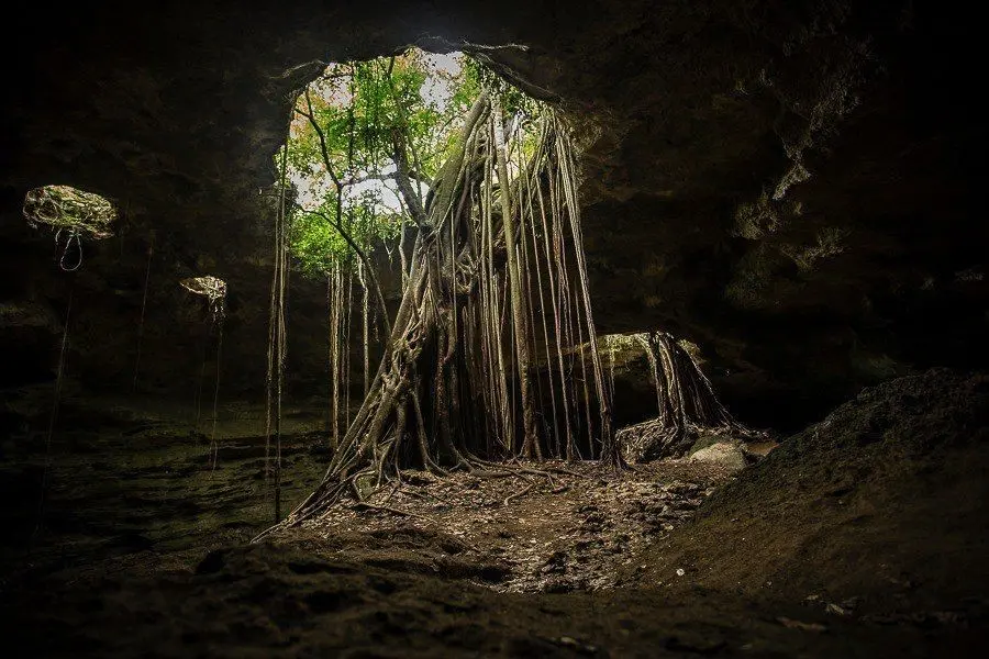 El cenote más profundo del mundo se encuentra en Aldama, Tamaulipas