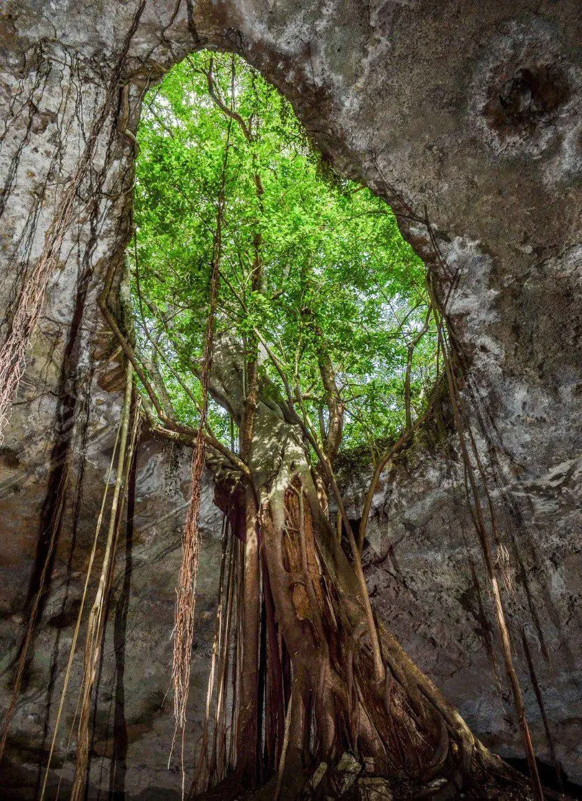 El cenote más profundo del mundo se encuentra en Aldama, Tamaulipas